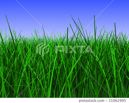grass meadow 31062995