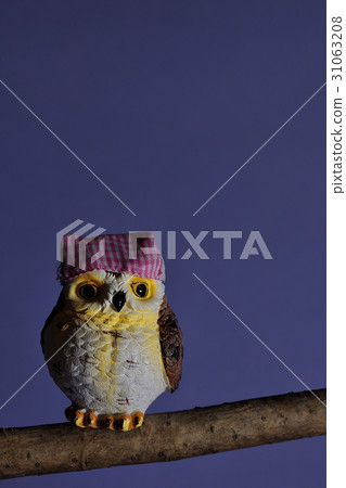 貓頭鷹何浩先生。 貓頭鷹何浩先生。 31063208