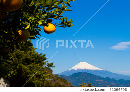 小月山富士山晴朗的天空藍天雲 31064708