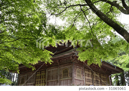 Hiezan Enryakuji Hiezan Enryakuji 31065061