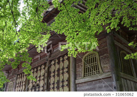 Hiezan Enryakuji Hiezan Enryakuji 31065062