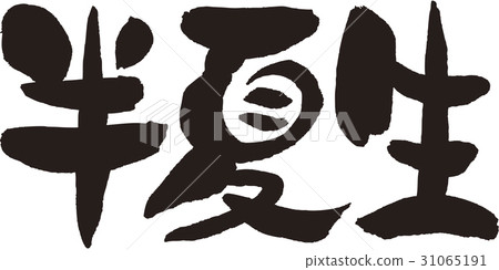 Half-summer student 31065191