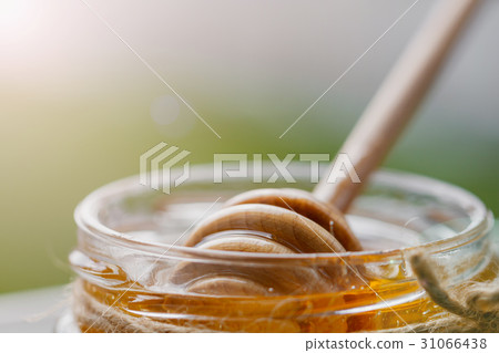 Close-up of honey, Macro shot. Close-up of honey, Macro shot. 31066438