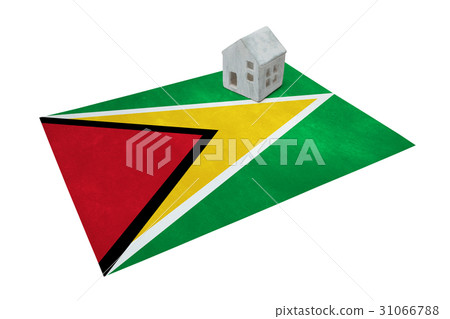 Small house on a flag - Guyana 31066788