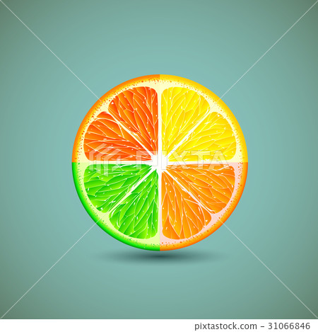 Icon citrus fruits. Icon citrus fruits. 31066846