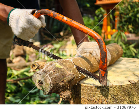 Carpenter cutting wood with saw. 31067970