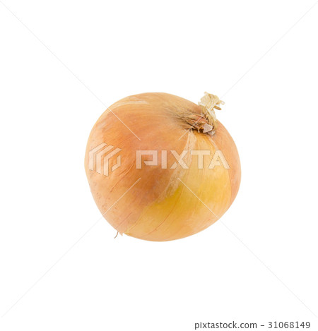 Onion isolated on white background 31068149