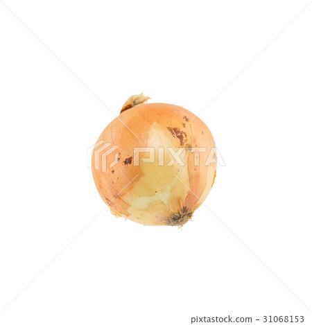 Onion isolated on white background 31068153
