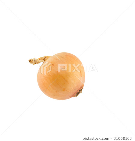 Onion isolated on white background 31068163