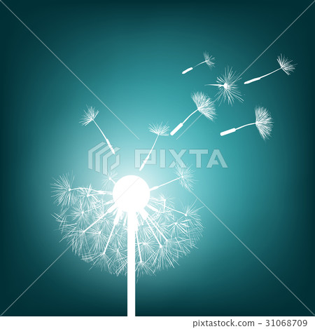 Glowing dandelion. Stock illustration. Glowing dandelion. Stock illustration. 31068709