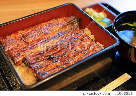美味的鰻魚很重 31068891
