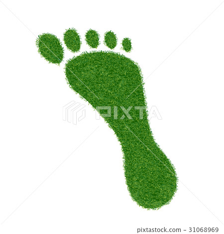 Footprint of grass. Footprint of grass. 31068969