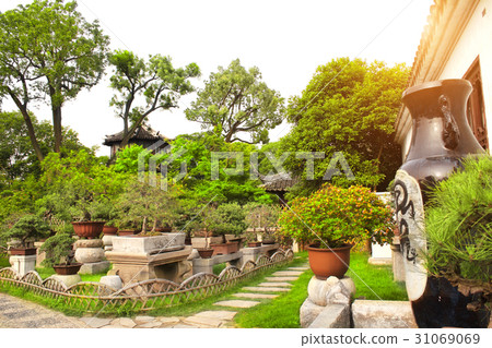 Bonsai in Humble Administrator's Garden, China 31069069