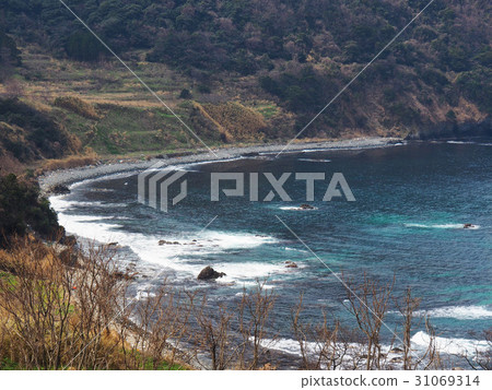 Dango池塘海岸在探戈半島的 Dango池塘海岸在探戈半島的 31069314