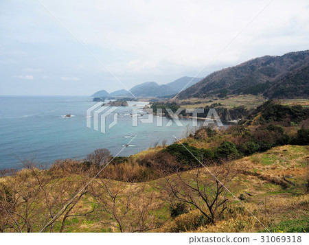 探戈半島海岸 31069318