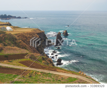 探戈半島積極的岩石 探戈半島積極的岩石 31069320