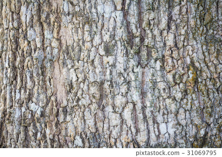 Old wooden wall background Old wooden wall background 31069795