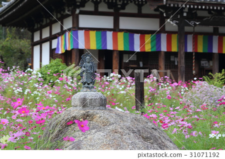 Kanemon寺的Kanemon寺 Kanemon寺的Kanemon寺 31071192