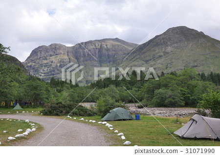蘇格蘭露營地 蘇格蘭露營地 31071990