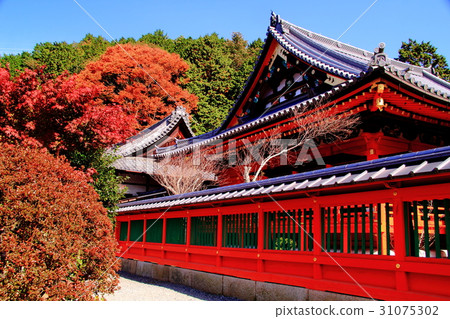 Bishamondo（京都Yamashina）的秋葉 31075302