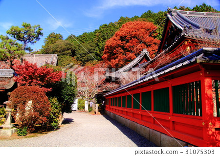 Bishamondo（京都Yamashina）的秋葉 31075303