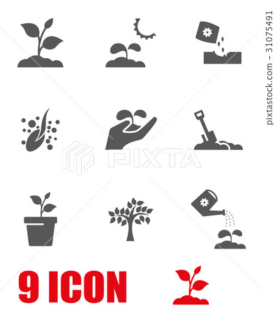 Vector grey growing icon set Vector grey growing icon set 31075491