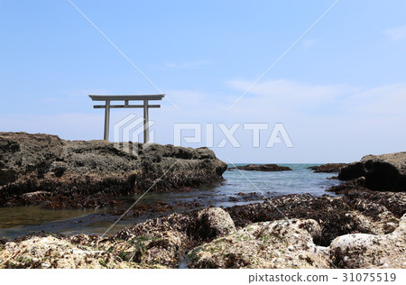 Oaso海岸的地震 31075519
