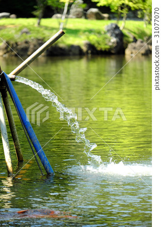 縣立小泉公園泉水花園 31077070