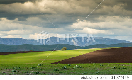 Storm over spring agricultural fields 31077459
