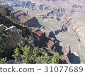 Grand Canyon  31077689