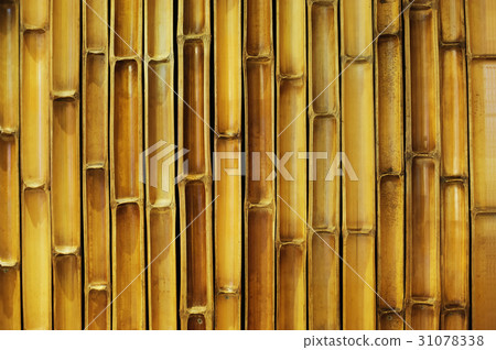 bamboo wall cut in half 31078338