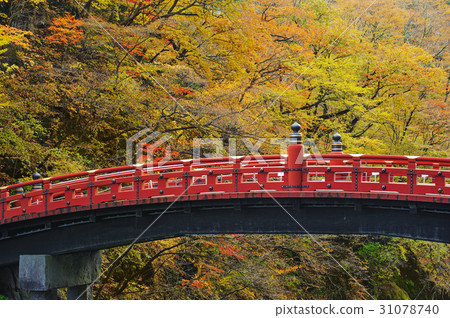 nikko in autumn time with the night weather nikko in autumn time with the night weather 31078740