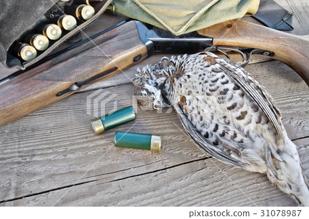 Grouse and gun on board Grouse and gun on board 31078987