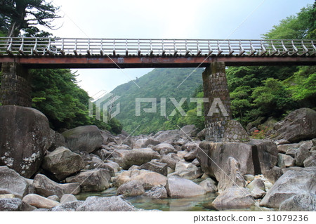 Yakushima Yakushima 31079236