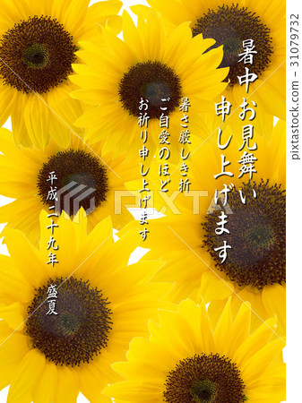 Sunflower background with hot weather letters entered Sunflower background with hot weather letters entered 31079732