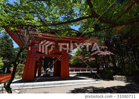 Hiezan Enryakuji的新鮮綠色 31080711