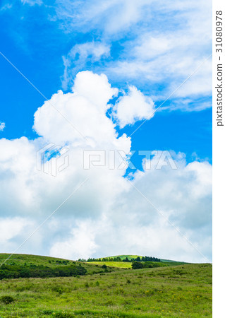 [Nagano Prefecture] Natural scenery of the mountains [Summer] 31080978
