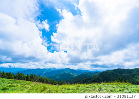 [Nagano Prefecture] Natural scenery of the mountains [Summer] 31081137