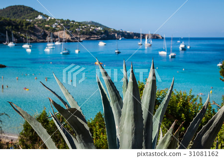 Cala Tarida in Ibiza beach San Jose at Balearic Cala Tarida in Ibiza beach San Jose at Balearic 31081162