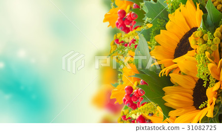 Sunflowers with green leaves 31082725