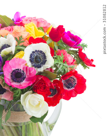 Anemones on white Anemones on white 31082812