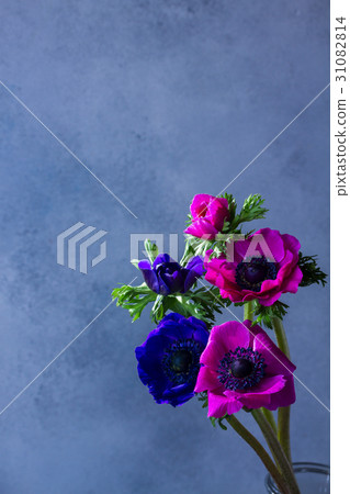 Anemones flowers on stone background Anemones flowers on stone background 31082814