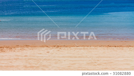 sea shore with blue sky 31082880