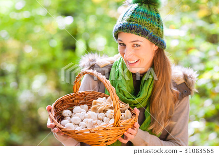 Woman with basket full of champignons in forest Woman with basket full of champignons in forest 31083568