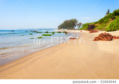 Beach in Goa, India 31083644