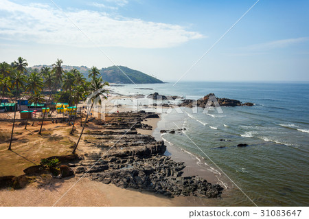 Beach in Goa, India 31083647
