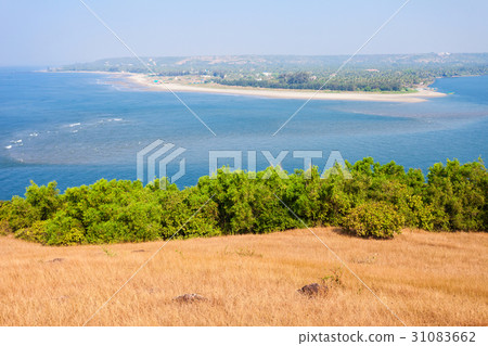 Beach in Goa, India 31083662