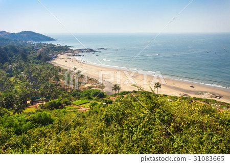 Beach in Goa, India 31083665