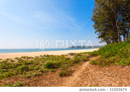 Beach in Goa, India 31083674