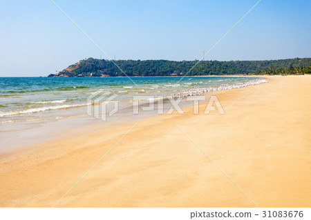 Beach in Goa, India 31083676